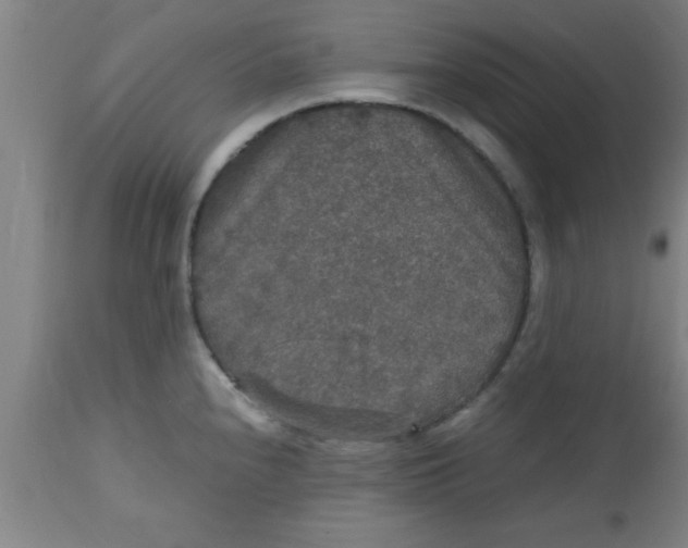 X0000112531240200909071350