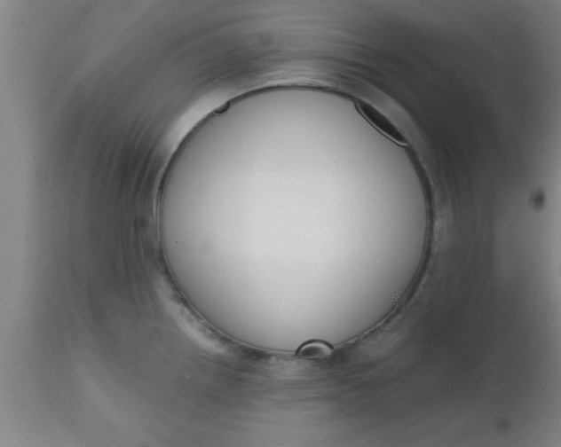X0000112531242200909071350