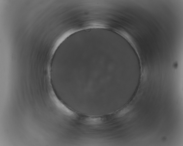 X0000112531243200909071350