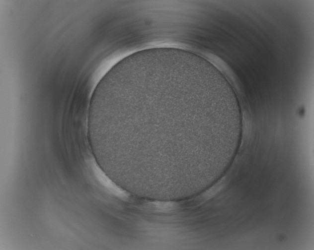X0000112531244200909071350
