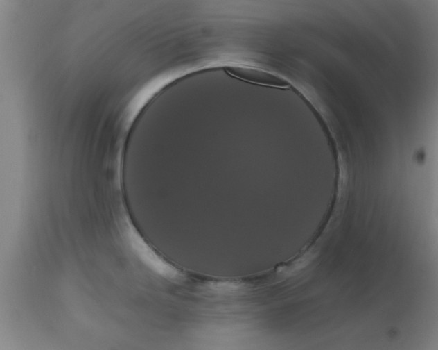X0000112531246200909071350