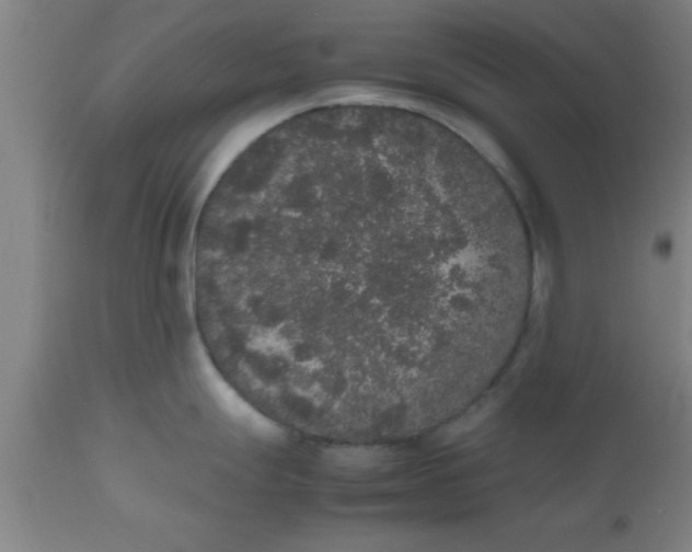 X0000112531247200909071350