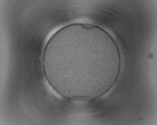 X0000112531248200909071350