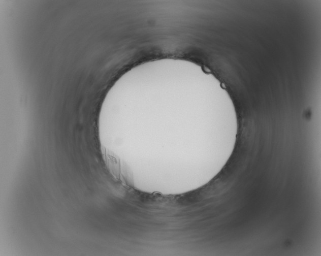 X0000112531249200909071349
