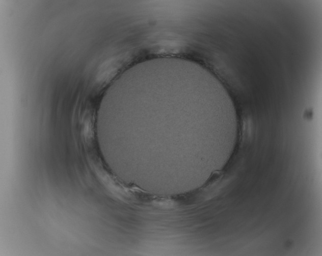X0000112531250200909071349