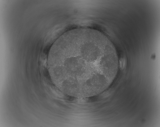 X0000112531251200909071349