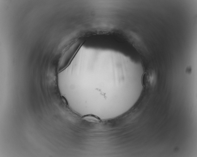 X0000112531252200909071349
