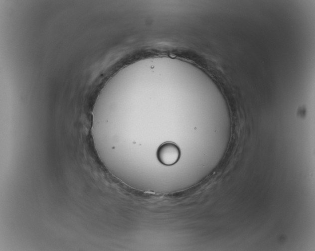 X0000112531253200909071349