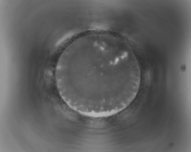 X0000112531254200909071349
