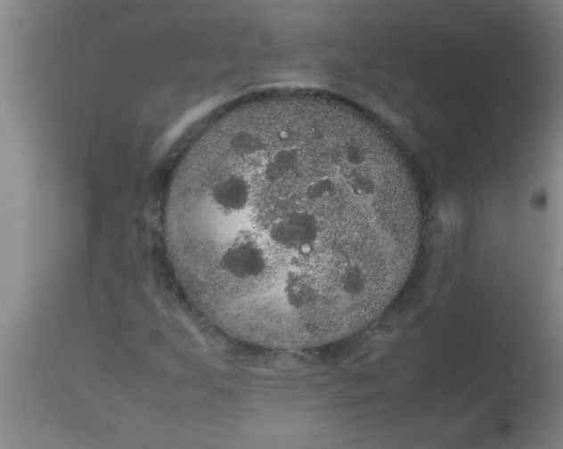 X0000112531255200909071349