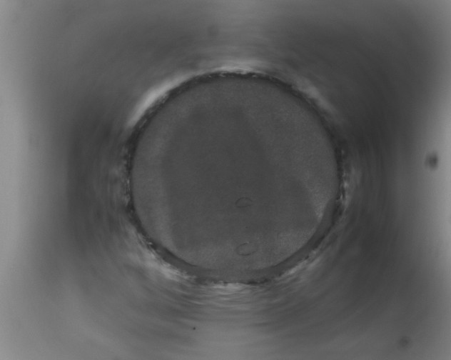 X0000112531256200909071349