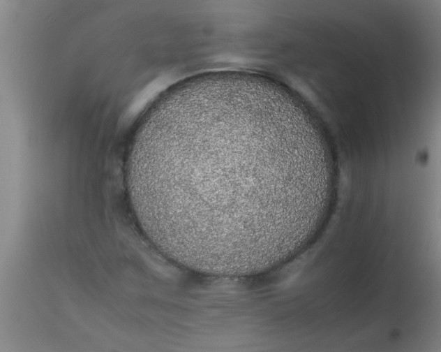 X0000112531259200909071349