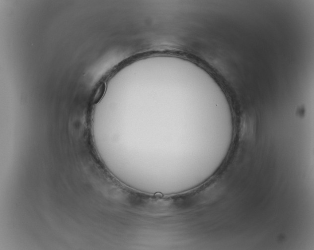X0000112531261200909071349