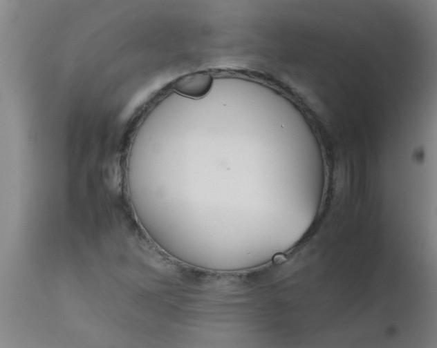 X0000112531262200909071349