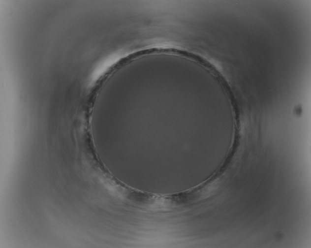 X0000112531263200909071349
