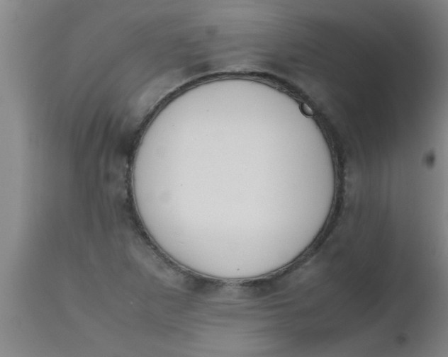 X0000112531265200909071349