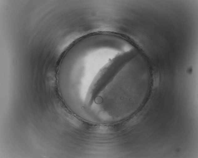 X0000112531266200909071349