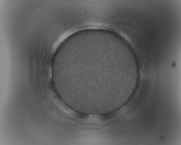 X0000112531267200909071349