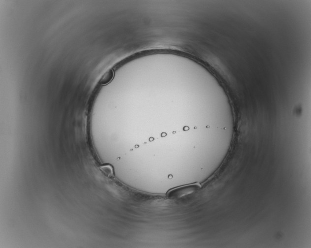 X0000112531268200909071349