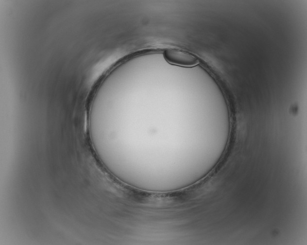 X0000112531269200909071349