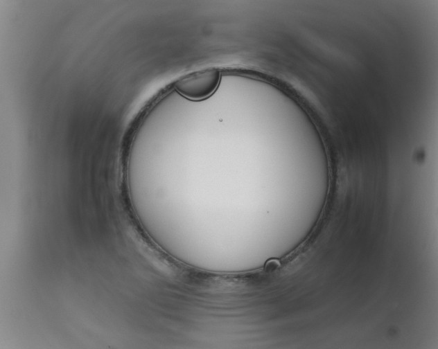 X0000112531270200909071349
