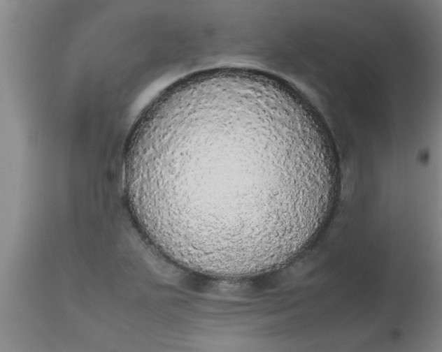 X0000112531271200909071349