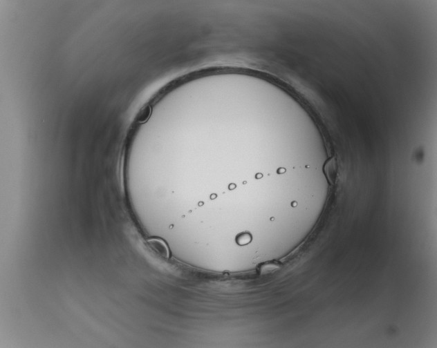 X0000112531272200909071349