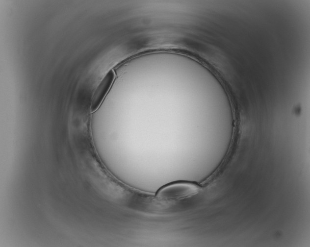 X0000112531273200909071349
