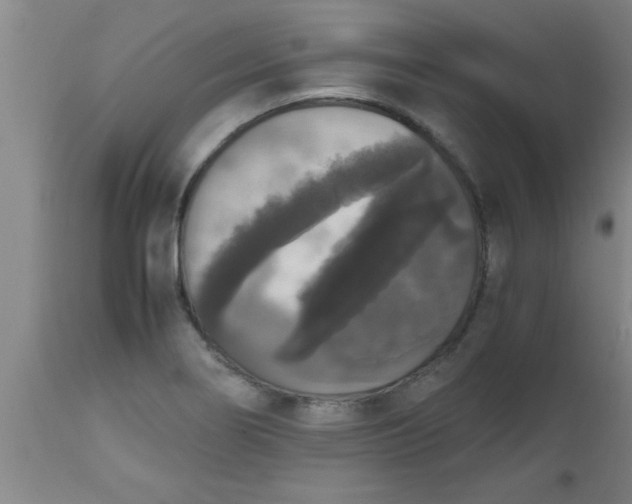 X0000112531274200909071349