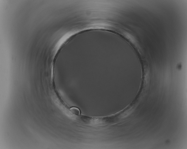 X0000112531275200909071349