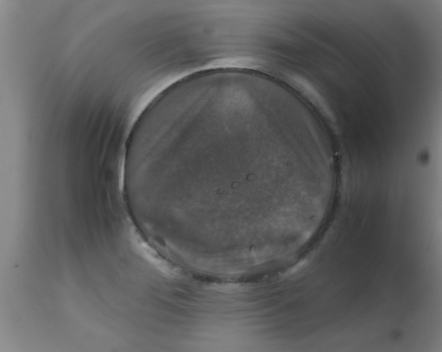 X0000112531276200909071349