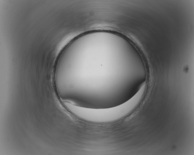 X0000112531277200909071349