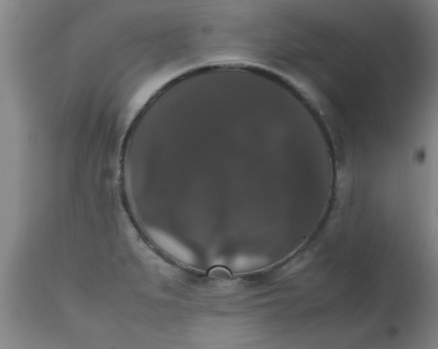 X0000112531279200909071349