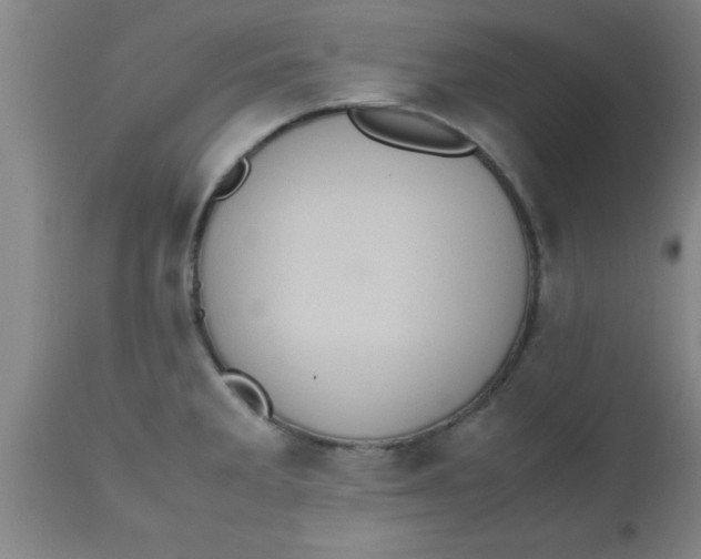 X0000112531285200909071349