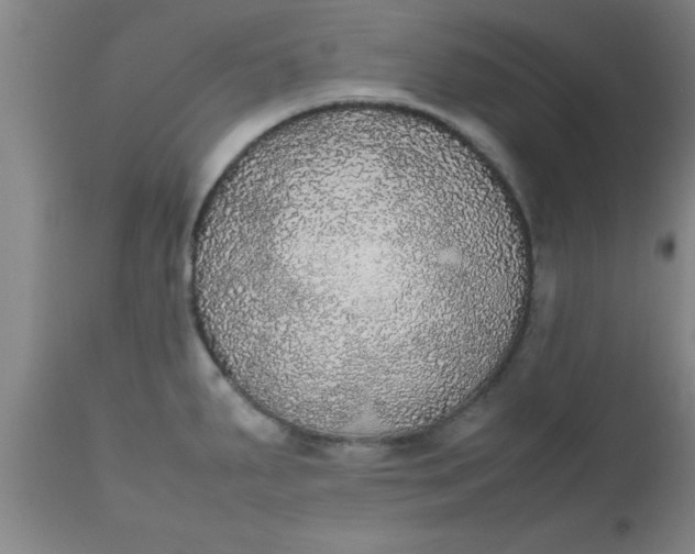 X0000112531287200909071349