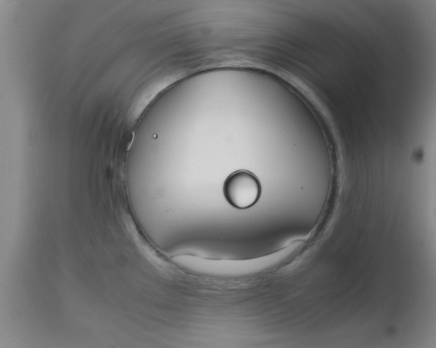 X0000112531289200909071349
