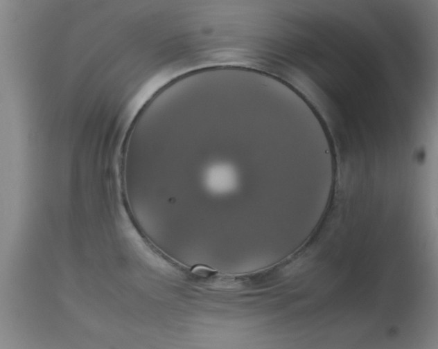 X0000112531291200909071349