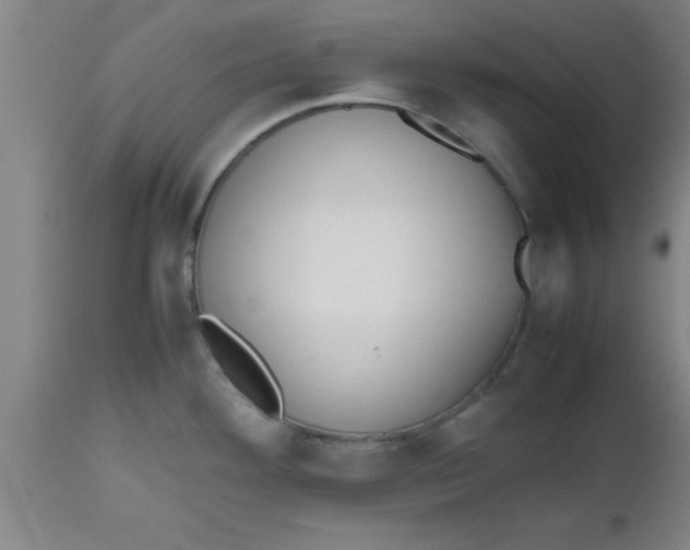 X0000112531292200909071349