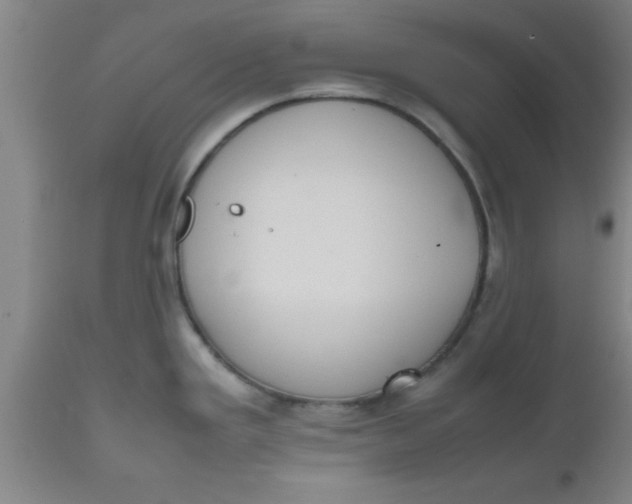 X0000112531293200909071349