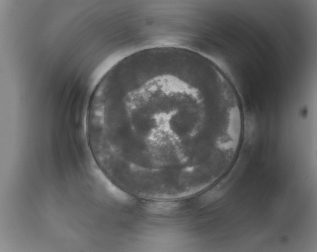 X0000112531294200909071349