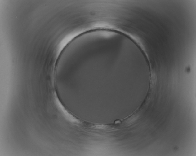 X0000112531295200909071349