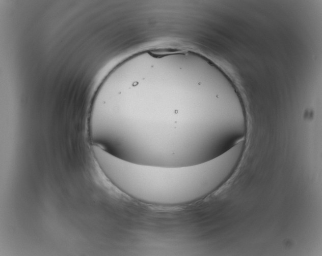 X0000112531296200909071349