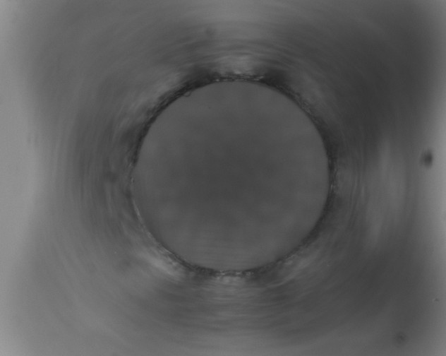 X0000112531297200909071348