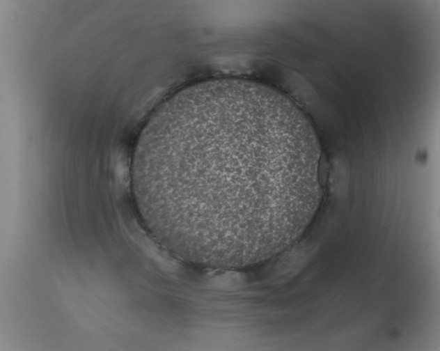 X0000112531298200909071348