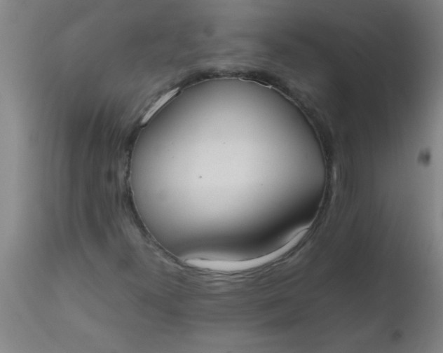 X0000112531300200909071348
