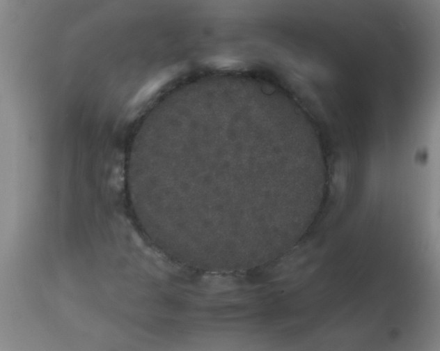 X0000112531301200909071348