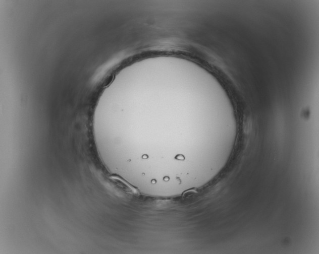 X0000112531304200909071348
