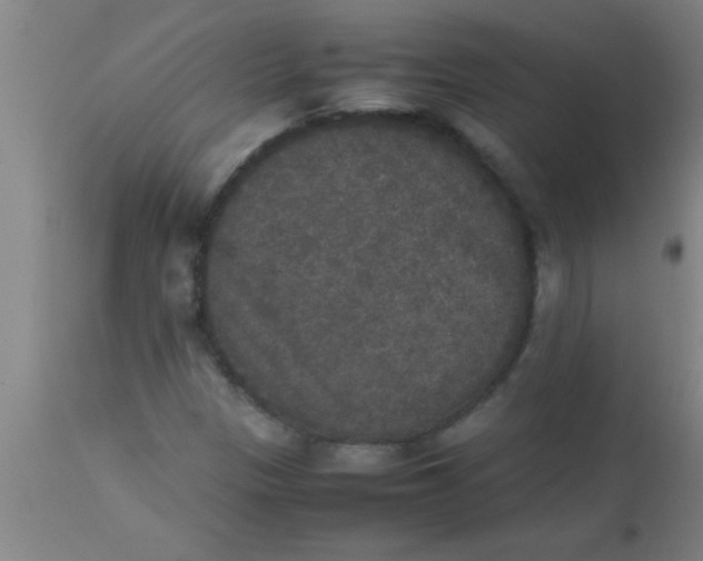 X0000112531305200909071348