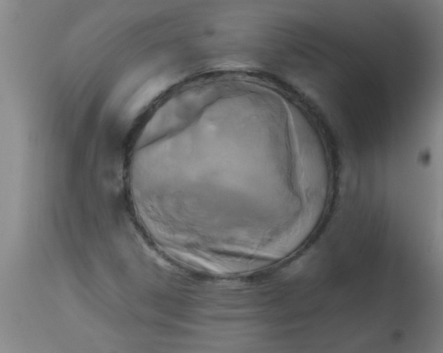 X0000112531306200909071348