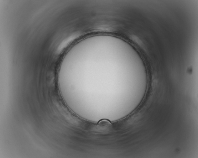 X0000112531307200909071348
